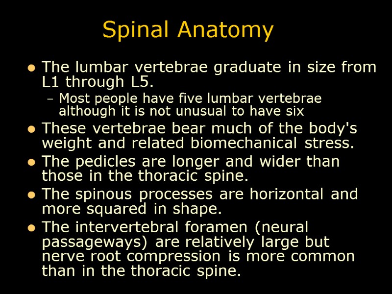 Spinal Anatomy The lumbar vertebrae graduate in size from L1 through L5.  